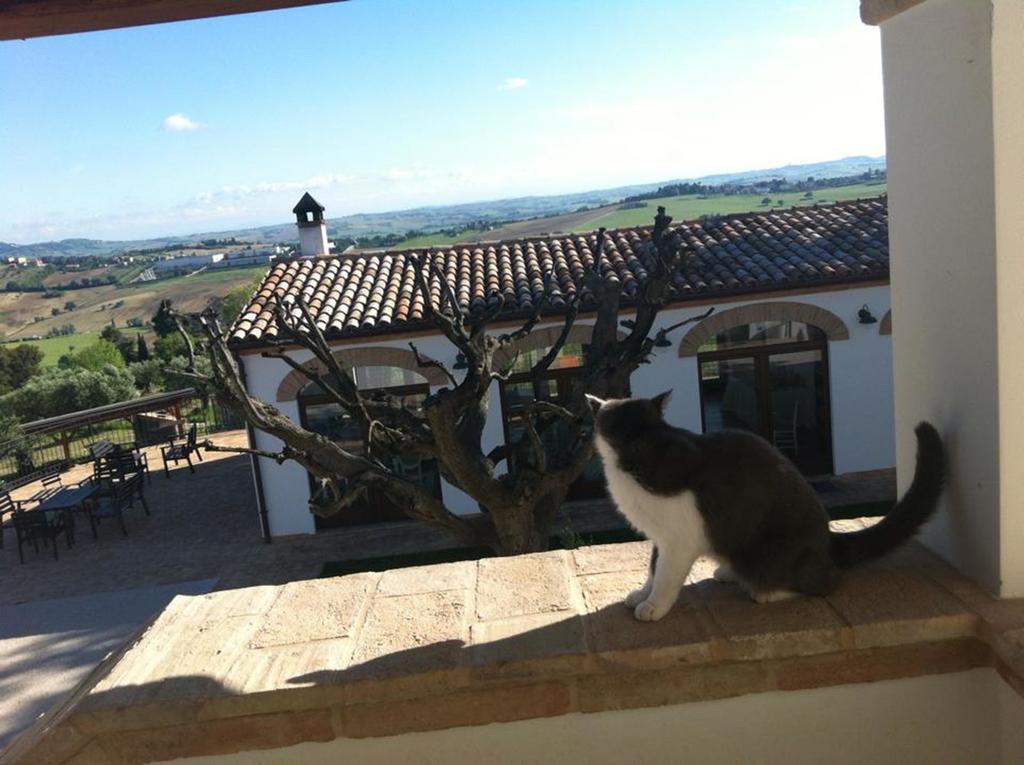 Villa Coralia Agriturismo Osimo Kültér fotó