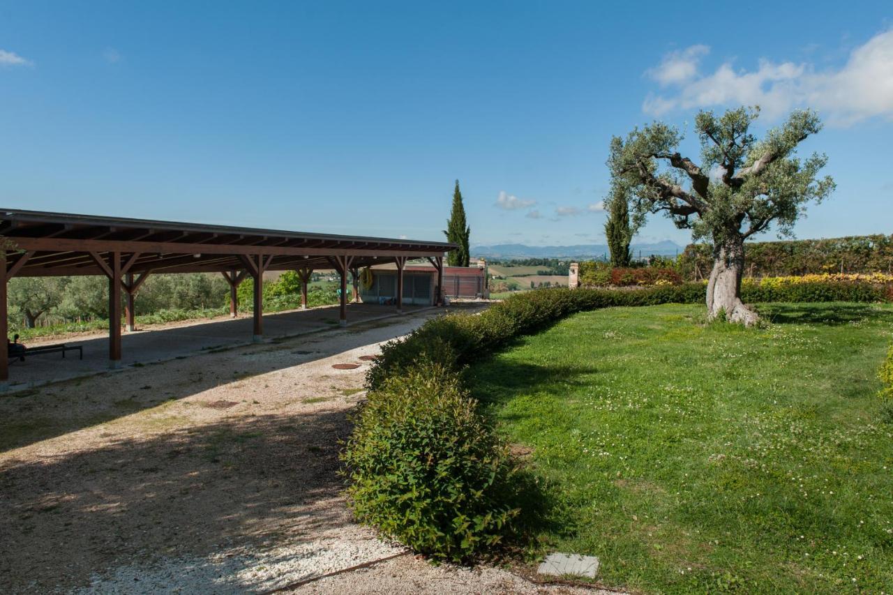 Villa Coralia Agriturismo Osimo Kültér fotó